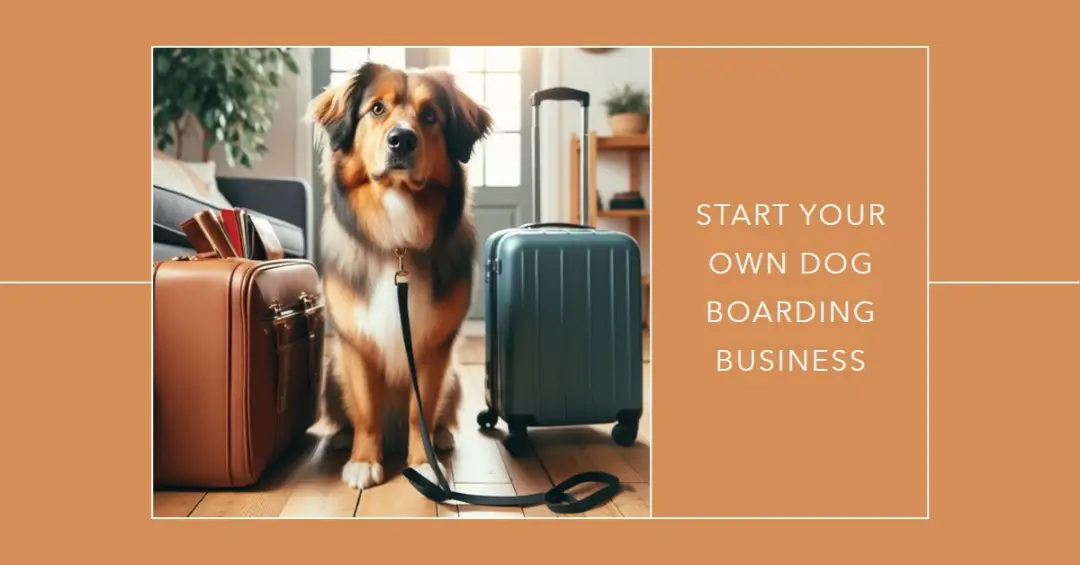 How to start a dog boarding business