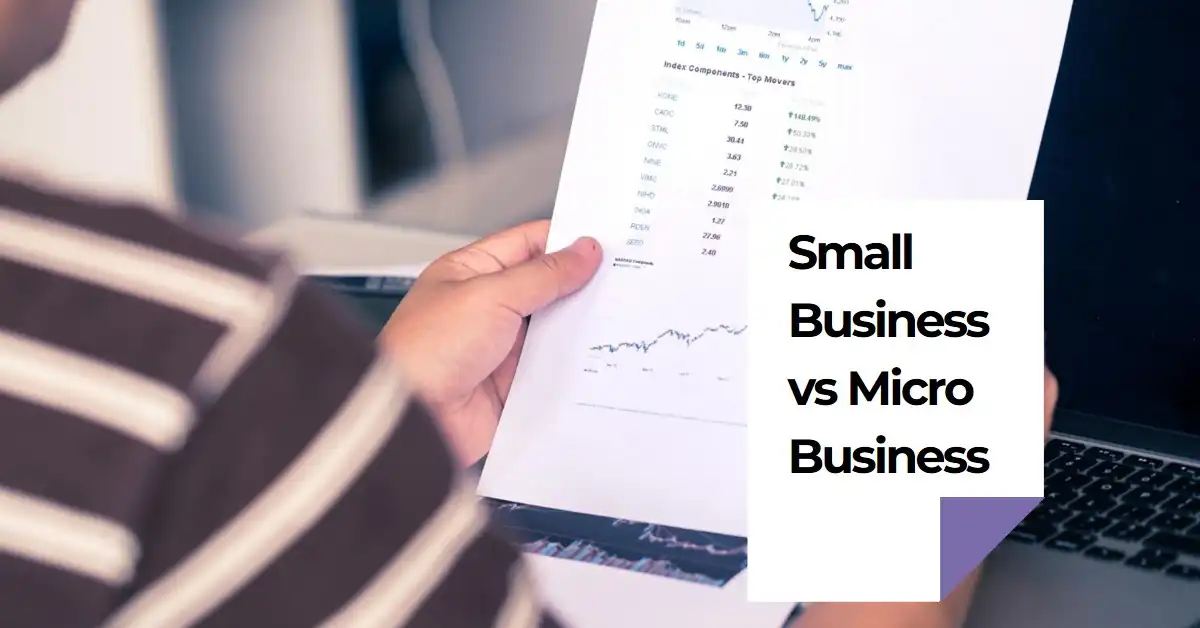 What is the Difference between Small Business And Micro Business?